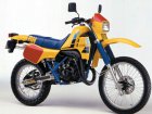 Suzuki RH 250X